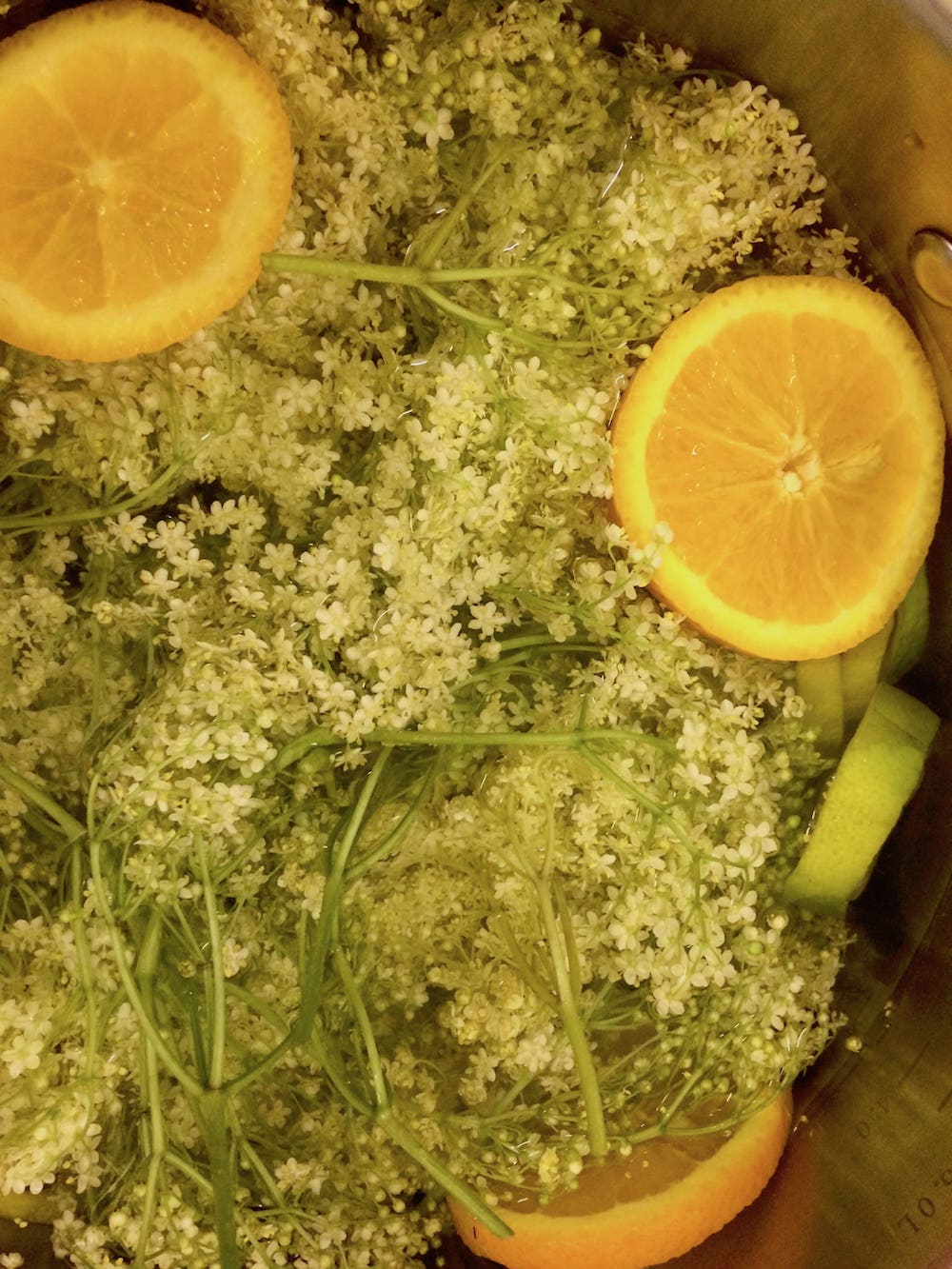 elderflower-min